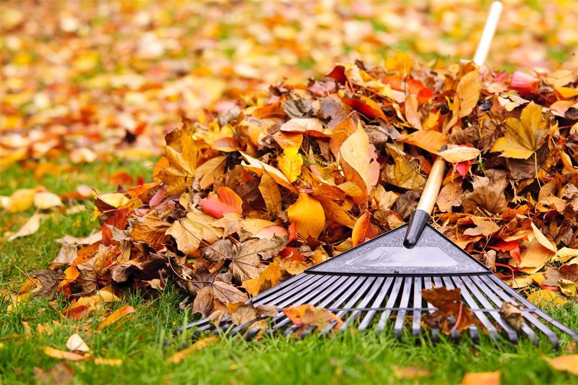 Как выбрать воздуходувку для уборки листьев? — статья от компании «Инигс», Екатеринбург